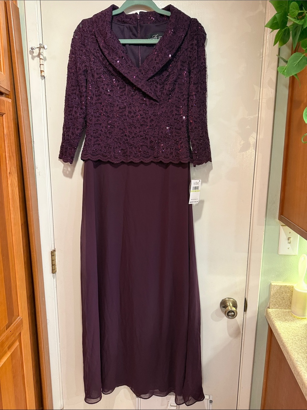 Alex Evenings Women's 3/4 Sleeve Portrait Collar Stretch Lace Bodice - Size 4